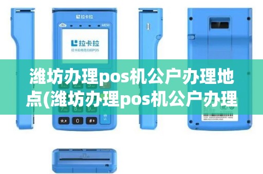 潍坊办理pos机公户办理地点(潍坊办理pos机公户办理)
