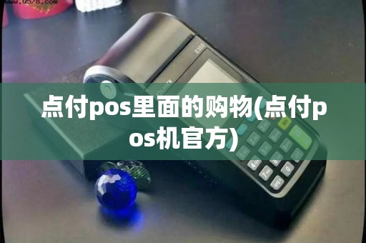 点付pos里面的购物(点付pos机官方)