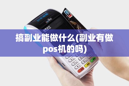 搞副业能做什么(副业有做pos机的吗)
