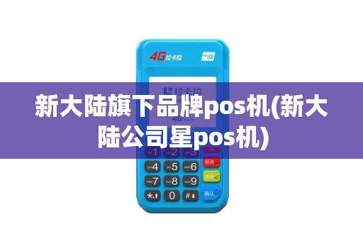 新大陆旗下品牌pos机(新大陆公司星pos机)
