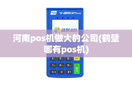 河南pos机做大的公司(鹤壁哪有pos机)