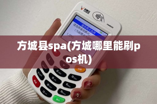 方城县spa(方城哪里能刷pos机)