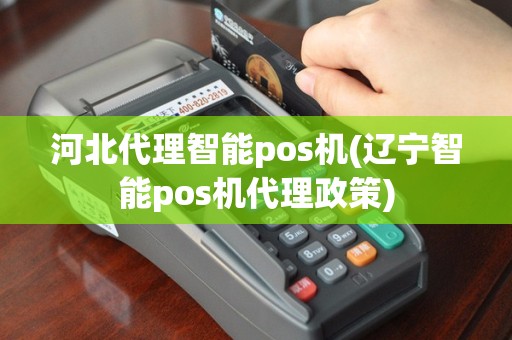 河北代理智能pos机(辽宁智能pos机代理政策)