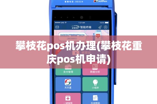 攀枝花pos机办理(攀枝花重庆pos机申请)