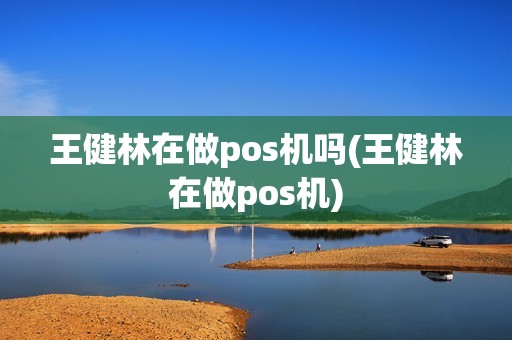 王健林在做pos机吗(王健林在做pos机)