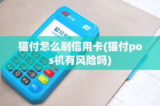 猫付怎么刷信用卡(猫付pos机有风险吗)