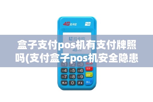 盒子支付pos机有支付牌照吗(支付盒子pos机安全隐患)