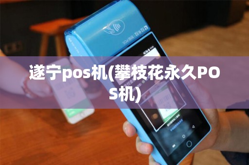 遂宁pos机(攀枝花永久POS机)