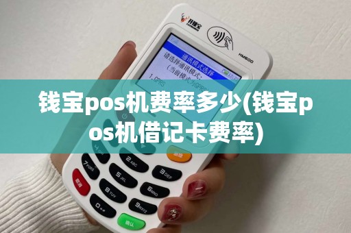 钱宝pos机费率多少(钱宝pos机借记卡费率)