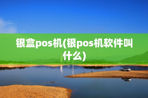 银盒pos机(银pos机软件叫什么)