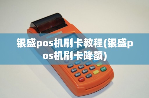 银盛pos机刷卡教程(银盛pos机刷卡降额)