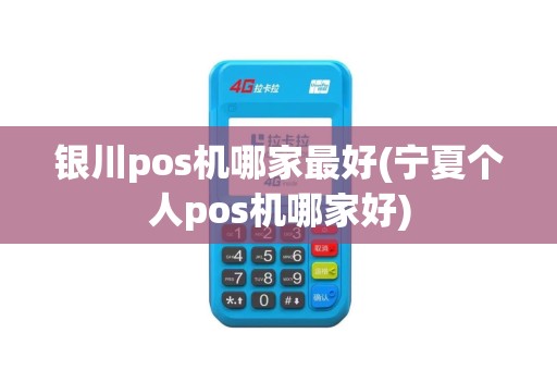 银川pos机哪家最好(宁夏个人pos机哪家好)