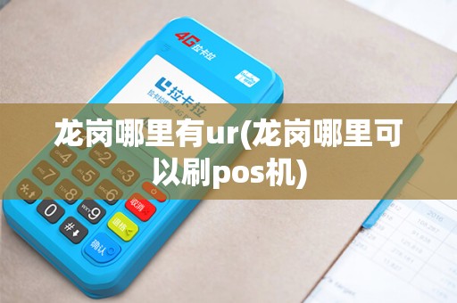 龙岗哪里有ur(龙岗哪里可以刷pos机)