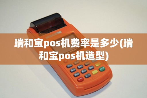 瑞和宝pos机费率是多少(瑞和宝pos机造型)