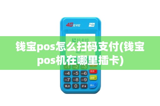 钱宝pos怎么扫码支付(钱宝pos机在哪里插卡)