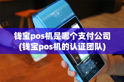钱宝pos机是哪个支付公司(钱宝pos机的认证团队)