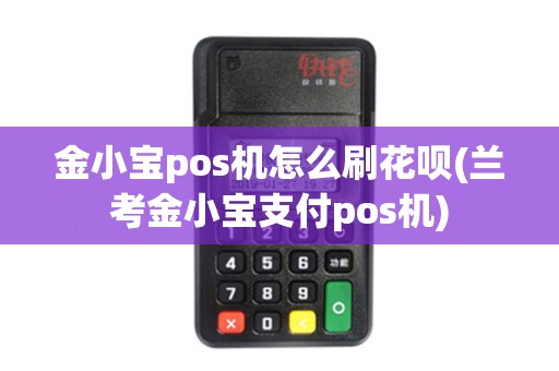 金小宝pos机怎么刷花呗(兰考金小宝支付pos机)