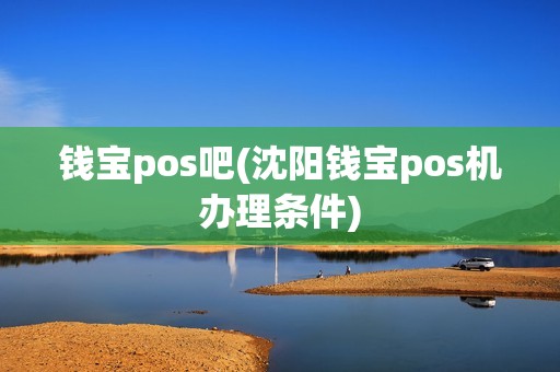 钱宝pos吧(沈阳钱宝pos机办理条件)