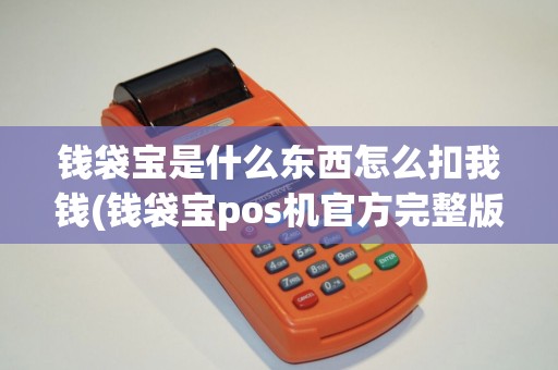 钱袋宝是什么东西怎么扣我钱(钱袋宝pos机官方完整版)