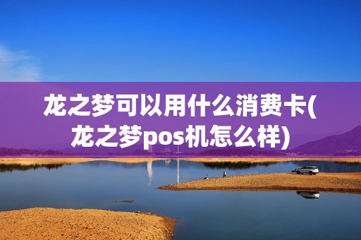 龙之梦可以用什么消费卡(龙之梦pos机怎么样)