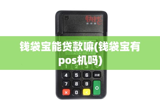 钱袋宝能贷款嘛(钱袋宝有pos机吗)