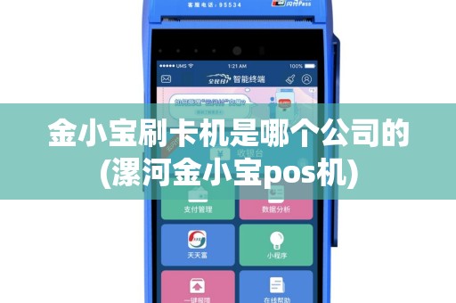金小宝刷卡机是哪个公司的(漯河金小宝pos机)