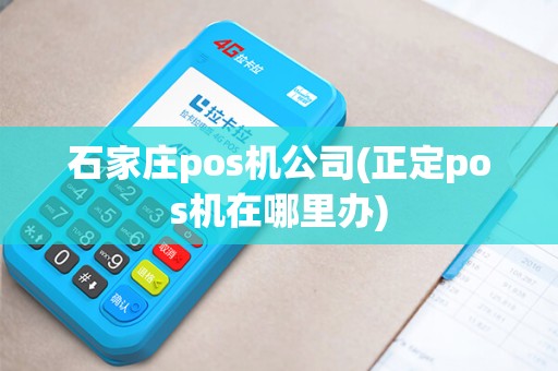 石家庄pos机公司(正定pos机在哪里办)
