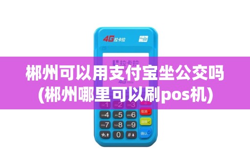 郴州可以用支付宝坐公交吗(郴州哪里可以刷pos机)