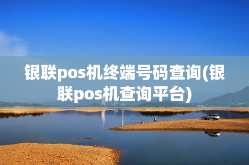 银联pos机终端号码查询(银联pos机查询平台)