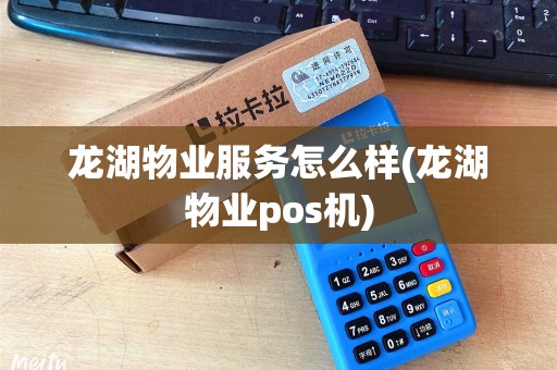 龙湖物业服务怎么样(龙湖物业pos机)