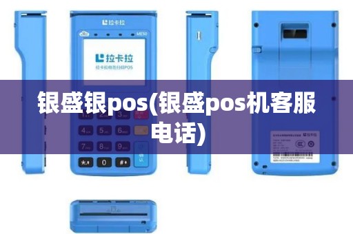 银盛银pos(银盛pos机客服电话)
