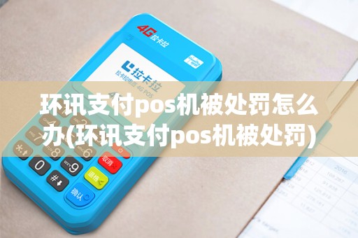 环讯支付pos机被处罚怎么办(环讯支付pos机被处罚)