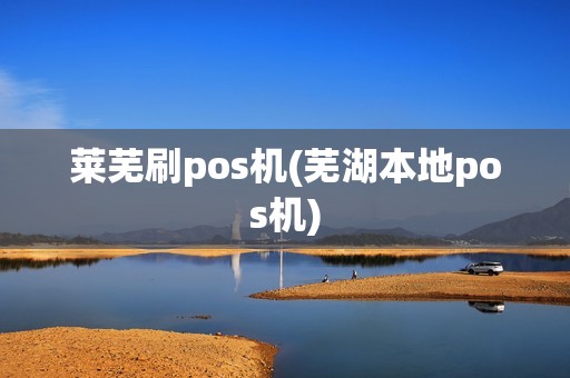 莱芜刷pos机(芜湖本地pos机)