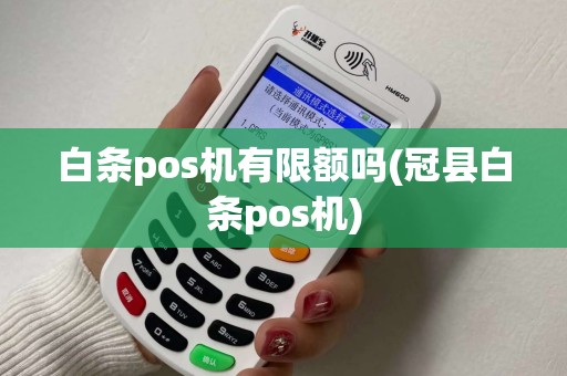 白条pos机有限额吗(冠县白条pos机)