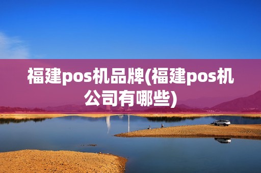 福建pos机品牌(福建pos机公司有哪些)