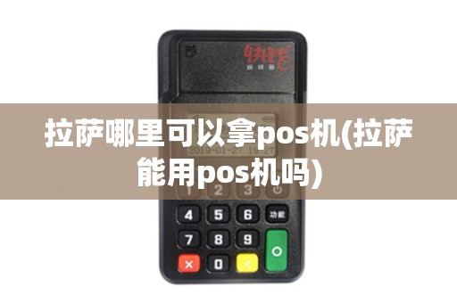 拉萨哪里可以拿pos机(拉萨能用pos机吗)