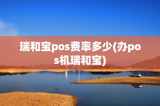 瑞和宝pos费率多少(办pos机瑞和宝)