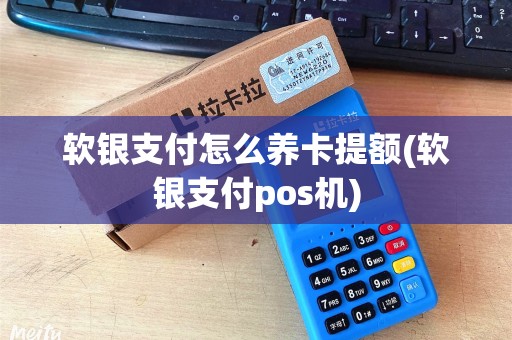 软银支付怎么养卡提额(软银支付pos机)
