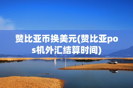 赞比亚币换美元(赞比亚pos机外汇结算时间)
