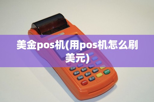 美金pos机(用pos机怎么刷美元)