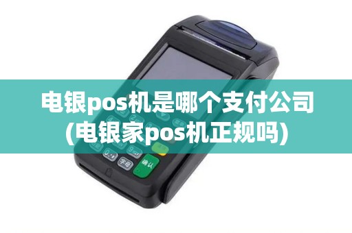 电银pos机是哪个支付公司(电银家pos机正规吗)