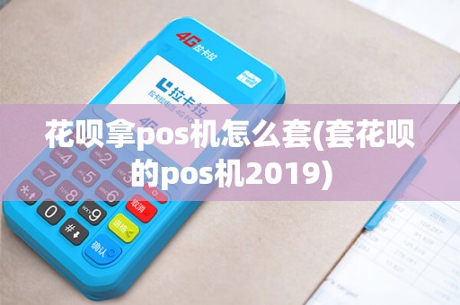 花呗拿pos机怎么套(套花呗的pos机2019)