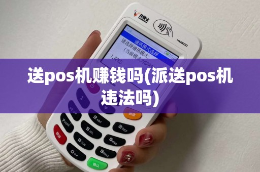 送pos机赚钱吗(派送pos机违法吗)