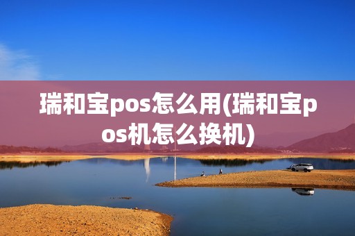 瑞和宝pos怎么用(瑞和宝pos机怎么换机)
