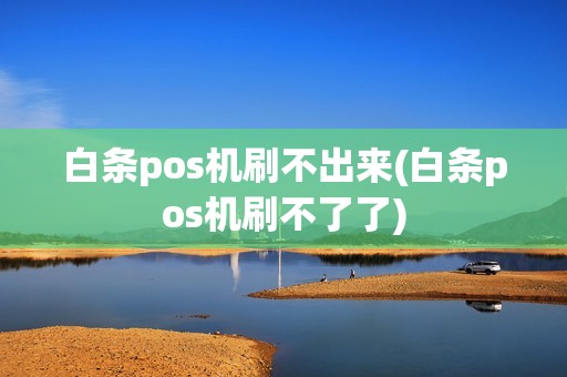 白条pos机刷不出来(白条pos机刷不了了)