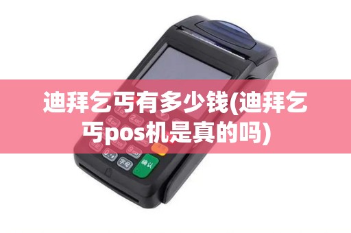 迪拜乞丐有多少钱(迪拜乞丐pos机是真的吗)