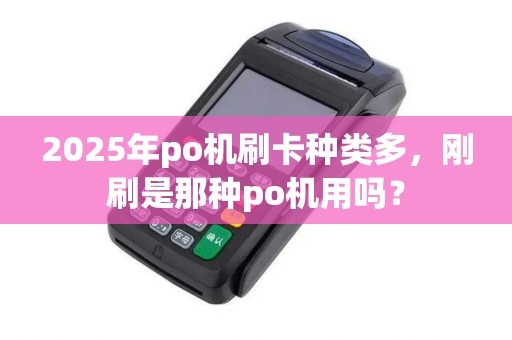 2025年po机刷卡种类多，刚刷是那种po机用吗？