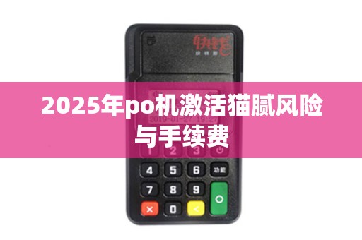 2025年po机激活猫腻风险与手续费