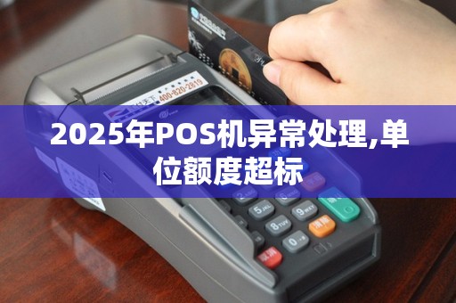 2025年POS机异常处理,单位额度超标