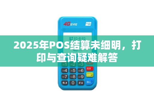 2025年POS结算未细明，打印与查询疑难解答